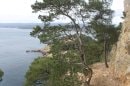 sentier du littoral
